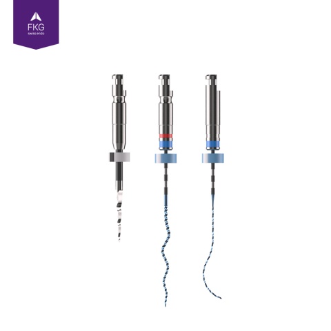 Fkg Endo Rise FKG XP-endo Rise Retreatment (sekwencja 3 szt.) > FKG